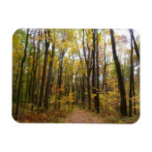 Herbstweg und Golden Blätter im Laurel Hill Park Magnet (Horizontal)