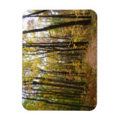 Herbstweg und Golden Blätter im Laurel Hill Park Magnet (Vertikal)