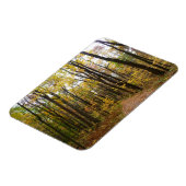 Herbstweg und Golden Blätter im Laurel Hill Park Magnet (Linke Seite)