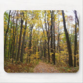 Herbstweg und Golden Blätter im Laurel Hill Park Mousepad (Vorne)