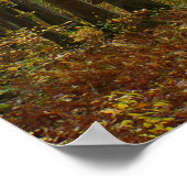 Herbstweg und Golden Blätter im Laurel Hill Park Poster (Ecke)
