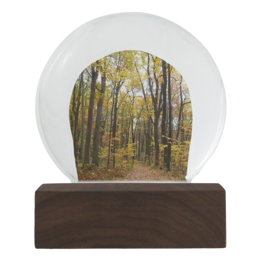 Herbstweg und Golden Blätter im Laurel Hill Park Schneekugel (Vorderseite)