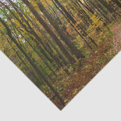 Herbstweg und Golden Blätter im Laurel Hill Park Seidenpapier (Ausschnitt)