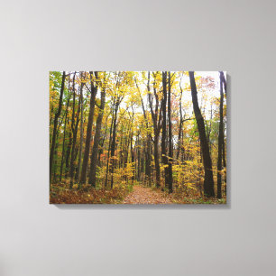 Herbstweg und goldene Blätter im Laurel Hill Park Leinwanddruck