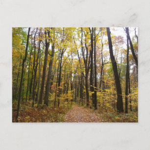 Herbstweg und goldene Blätter im Laurel Hill Park Postkarte