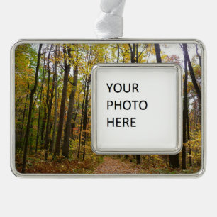 Herbstweg und goldene Blätter im Laurel Hill Park Rahmen-Ornament Silber