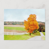 Herbstweide Postkarte (Vorderseite)