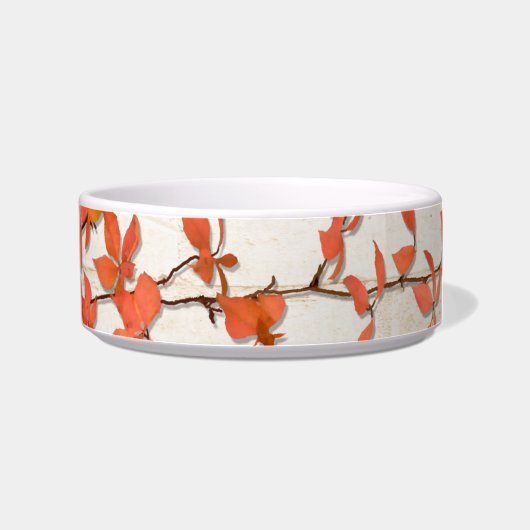 Herbstwein Napf (Rechts)