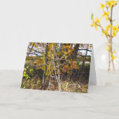 Herbstweingewebe und Berries "Ahh Card" Karte (Gelbe Blume)