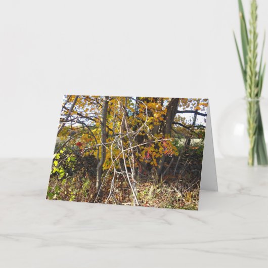 Herbstweingewebe und Berries "Ahh Card" Karte (Vorderseite)