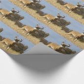 Herbstweißbuch Geschenkpapier (Ecke)