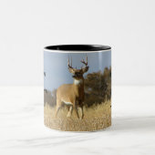 Herbstweißbuch Zweifarbige Tasse (Mittel)