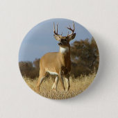 Herbstwhitetail-Dollar Button (Vorderseite)