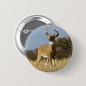 Herbstwhitetail-Dollar Button (Vorne & Hinten)