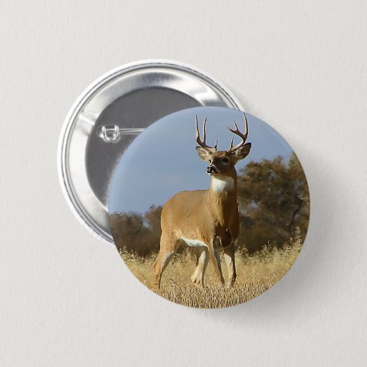 Herbstwhitetail-Dollar Button (Vorne & Hinten)