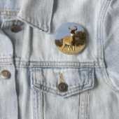 Herbstwhitetail-Dollar Button (Beispiel)