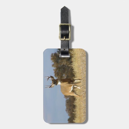 Herbstwhitetail-Dollar Gepäckanhänger (Vorderseite vertikal)