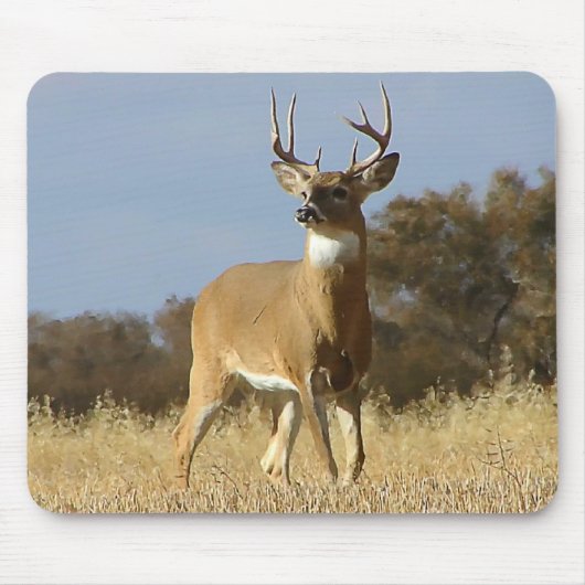 Herbstwhitetail-Dollar Mousepad (Vorne)