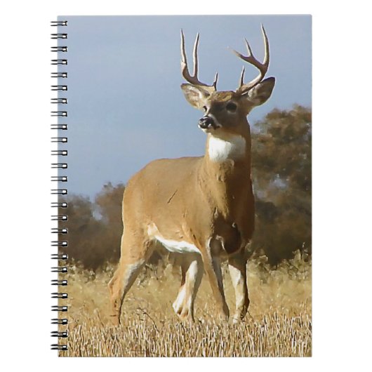 Herbstwhitetail-Dollar Notizblock (Vorderseite)