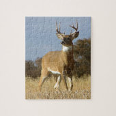 Herbstwhitetail-Dollar Puzzle (Vertikal)
