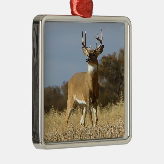 Herbstwhitetail-Dollar Silbernes Ornament (Rechts)