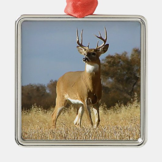 Herbstwhitetail-Dollar Silbernes Ornament (Vorne)