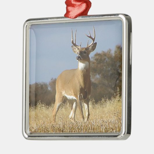 Herbstwhitetail-Dollar Silbernes Ornament (Links)