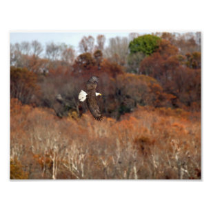 Herbstwings Fotodruck
