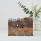 Herbstwings Postkarte (Stehend Vorderseite)