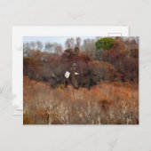 Herbstwings Postkarte (Vorne/Hinten)