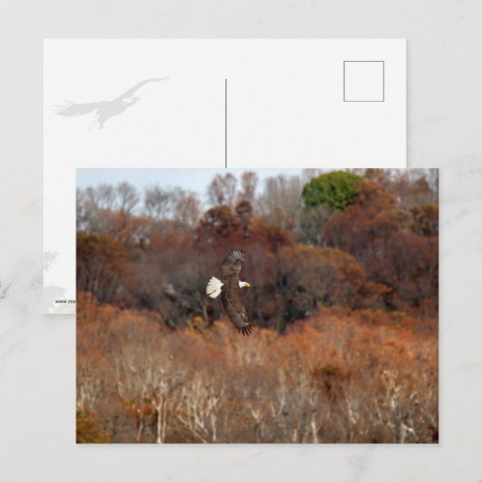 Herbstwings Postkarte (Vorne/Hinten)