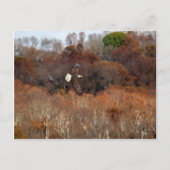 Herbstwings Postkarte (Vorderseite)