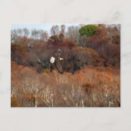 Herbstwings Postkarte