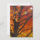 Herbstwochenende Probe Einladung (Rückseite)