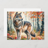 Herbstwolf mit Äpfeln im Herbstwald Postkarte (Vorne/Hinten)