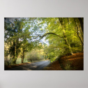 Herbstwoodland (4316) Poster
