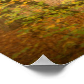 Herbstwoodland (4364) Poster (Ecke)