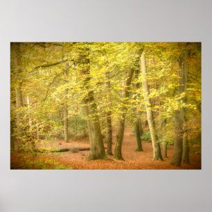 Herbstwoodland (4364) Poster