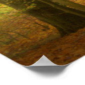 Herbstwoodland (4391) Poster (Ecke)