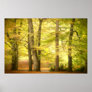 Herbstwoodland (4391) Poster