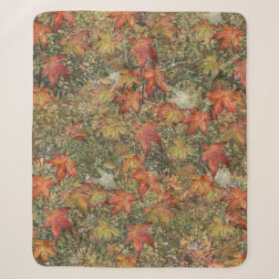 Herbstwurfkissenpilz Tasse Flasenkerne Kerze Sherpadecke