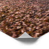 Herbstzaun Poster (Ecke)