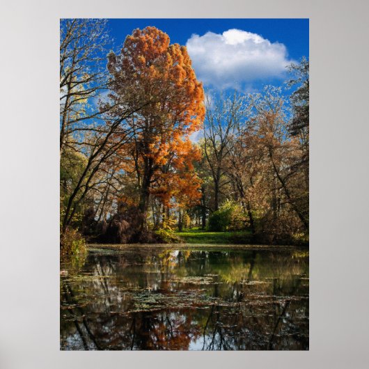 Herbstzeit durch einen gut versteckten Teich, voll Poster (Vorne)