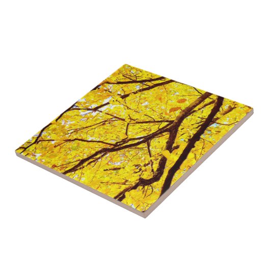 Herbstzweige - goldgelb fliese (Seite)