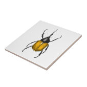 Hercules beetle fliese (Seite)