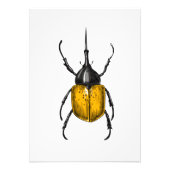 Hercules beetle fotodruck (Vorne)