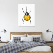 Hercules beetle leinwanddruck (Insitu (Schlafzimmer))