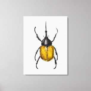 Hercules beetle leinwanddruck