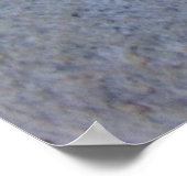 Hercules Beetle Poster (Ecke)