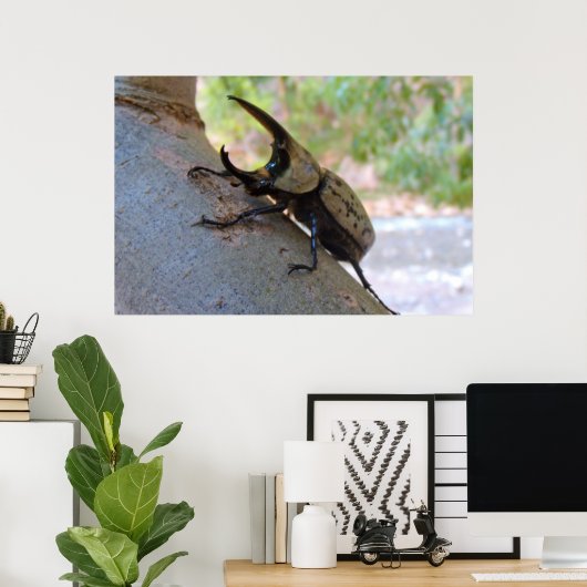 Hercules Beetle Poster (Heimbüro)